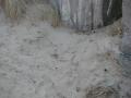 gal/Nettoyage Surfrider Foundation/_thb_DSC05359.JPG